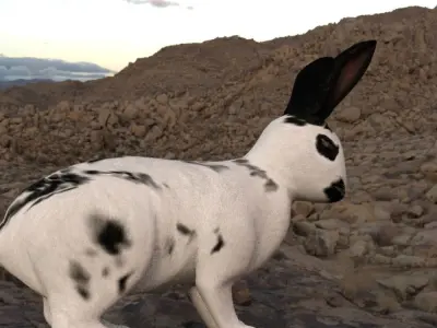 Lowpoly Rabbit two colorful rabbits Low-poly 3D model