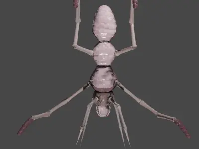  Arthropoda creature Low-poly 3D model