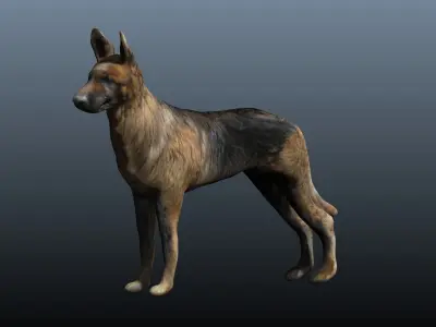 german shepard 3D model