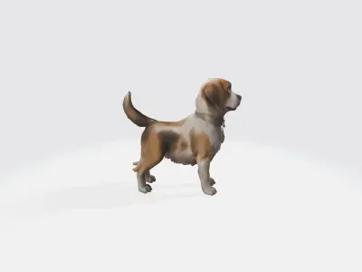 Realistic Dog Animated and Rigged 3D model