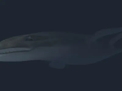 Liopleurodon whale Low-poly 3D model