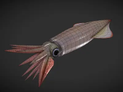 Cuttle squid with long tentacles Low-poly 3D model