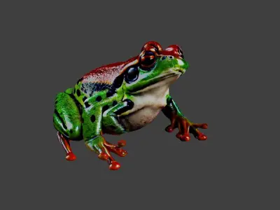 Frog Animal Low-poly 3D model