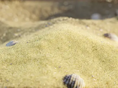 Simple Beach Shell Free 3D model