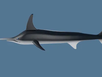 Sword Fish Low-poly 3D model
