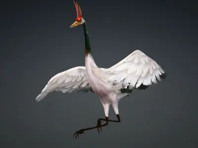 Crane Bird-B3 3D model