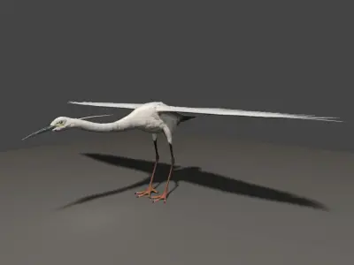 The noble and pure white egret 3D model