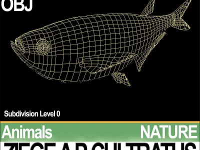 Ziege A animals ap cultivatus 3D model