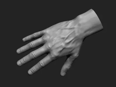 Male hands 12 poses 3D model