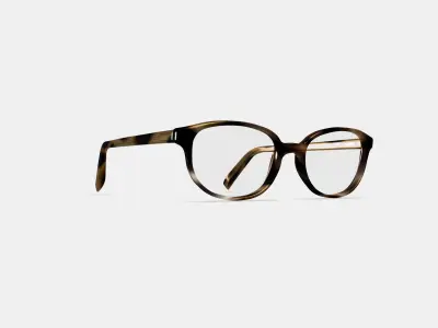 Ira Eyeglasses in Striped Sassafras 3D model