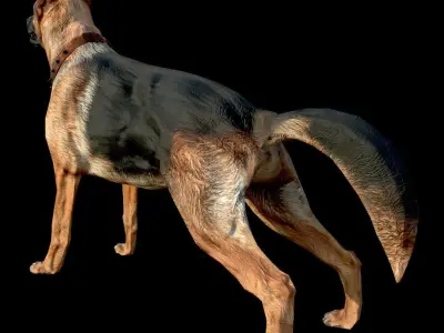 Dog K-9 - PBR - Textured Low-poly 3D model