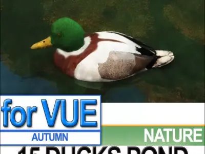 15 Ducks 15 Pond Ducks and Set 3D model