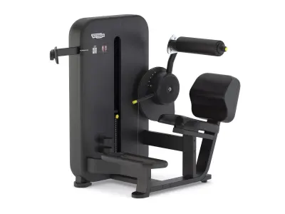 Technogym Selectorized Artis Lower Back 3D model