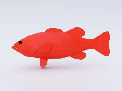 Carp fish low poly 3d model  Low-poly 3D model