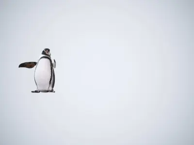 Happy Penguins - Animated 3D model