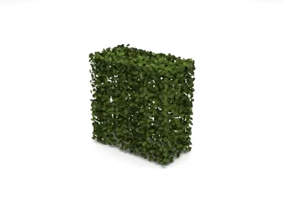 Hedge 1m x 1m 3D model