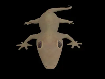 Lizard Gecko Animal 3D model Low-poly 3D model