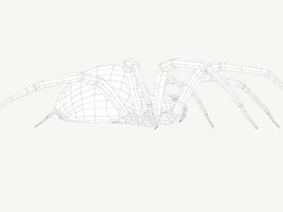 Orb Weaver Spider Low-poly 3D model