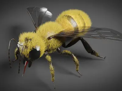 Honey bee 3D model