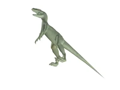 Raptor dinosaur 3D model