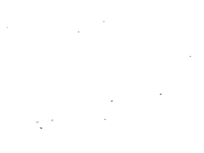 Butterflies looping animation  Low-poly 3D model