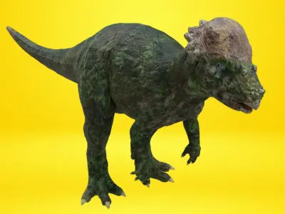 pachycephalosaurus Dinosaur Low-poly 3D model