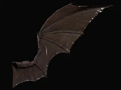 Pair of Bat Wings C4D Low-poly 3D model