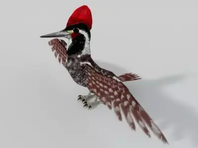 Woodpecker bird Low-poly 3D model