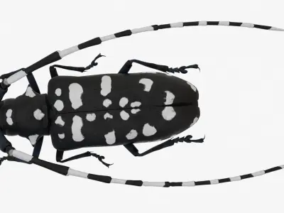 4K Longhorn Beetle Low-poly 3D model