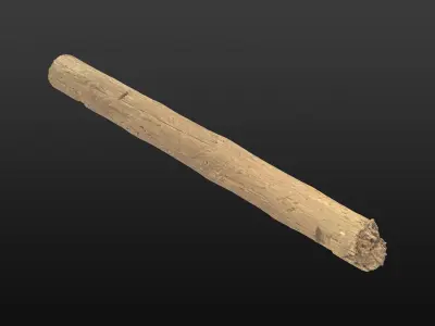Wood Beam 04 3D model