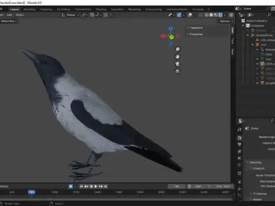 Realistic Animated Hooded Crow Low-poly 3D model