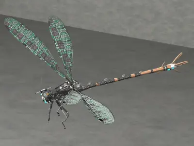 Dragonfly model with long legs 3D model