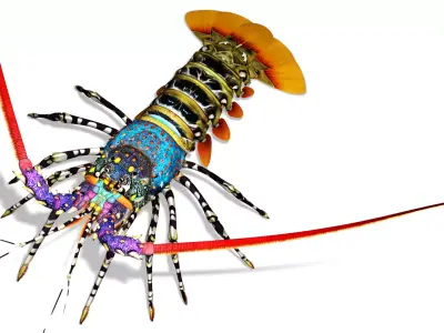 Ornate spiny lobster 3D model