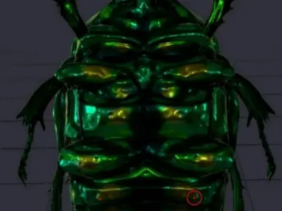 beatle 3d model 3D model