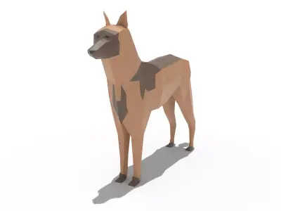 Low poly Belgian Malinois 3D model