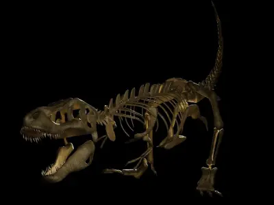 T-REX SKELETON Low-poly 3D model