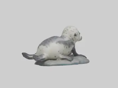 Harbor Seal Pup Model 1 Low-poly 3D model