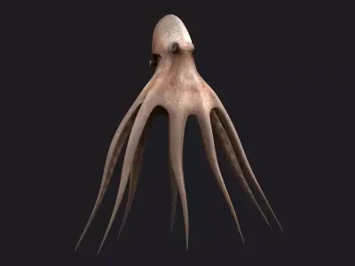 Octopus fish underwater water nature sea ocean 3D model