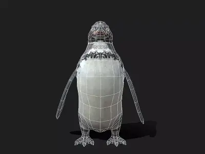 Galapagos Penguin Low Poly Animated Free 3D model