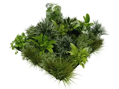 Collection plant vol 394 blender model Free 3D model