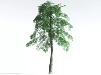 EVERYPlant Alethopteris Seed Fern LowPoly 3 --12 Models-- Low-poly 3D model