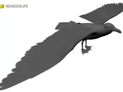 Seagull flying in air 3D model