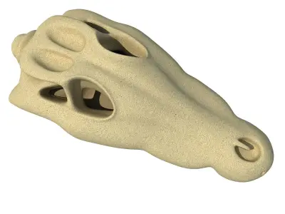 Crocodile Skull 8 3D model