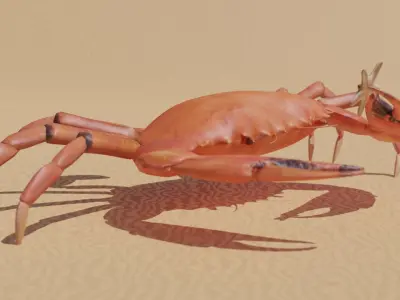 Sea Creatures Low-poly 3D model