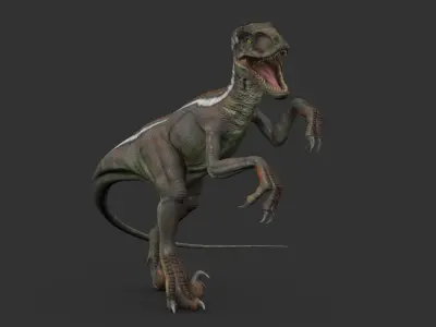 Velociraptor RIGGED 3D model