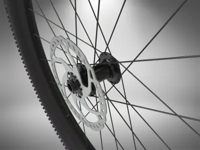 Bicycle Wheel 3D model