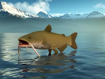 Realistic Catfish Low-poly 3D model