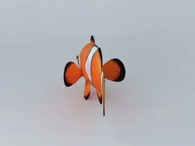 Fish like Nemo Free 3D model