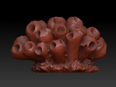 Sea Coral Scan 5 3D model