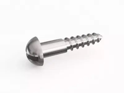 Screw 101 3D model